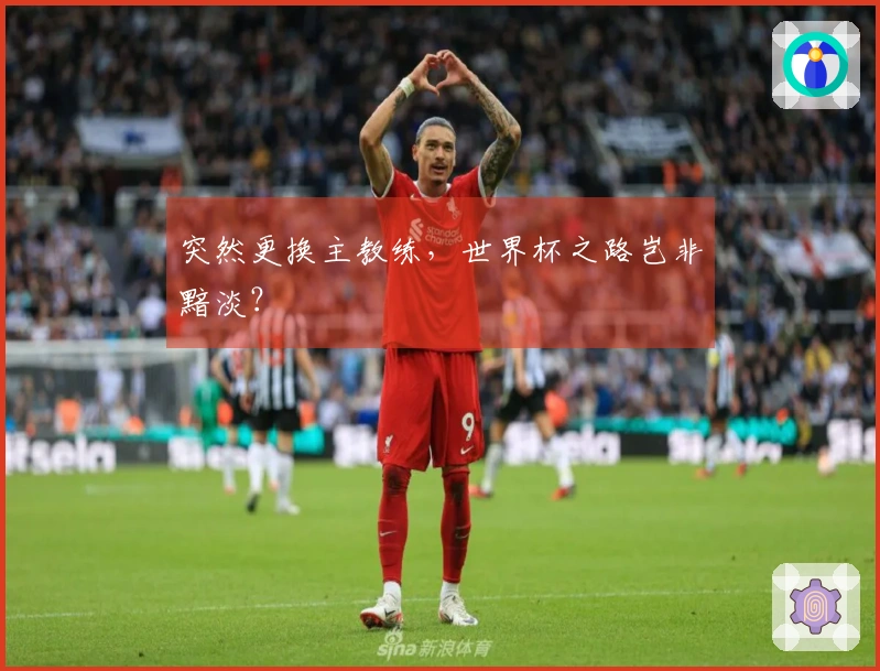 突然更换主教练，世界杯之路岂非黯淡？