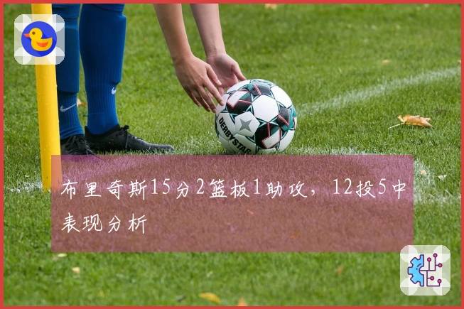 布里奇斯15分2篮板1助攻，12投5中表现分析